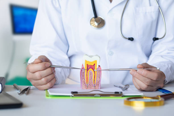 Best Emergency Dental Care for Broken or Chipped Teeth in Glasgow, OR